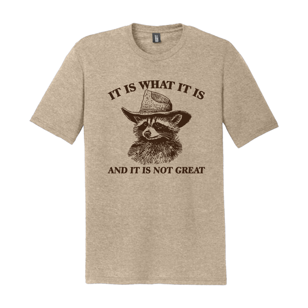“It Is What It Is” Raccoon Tee