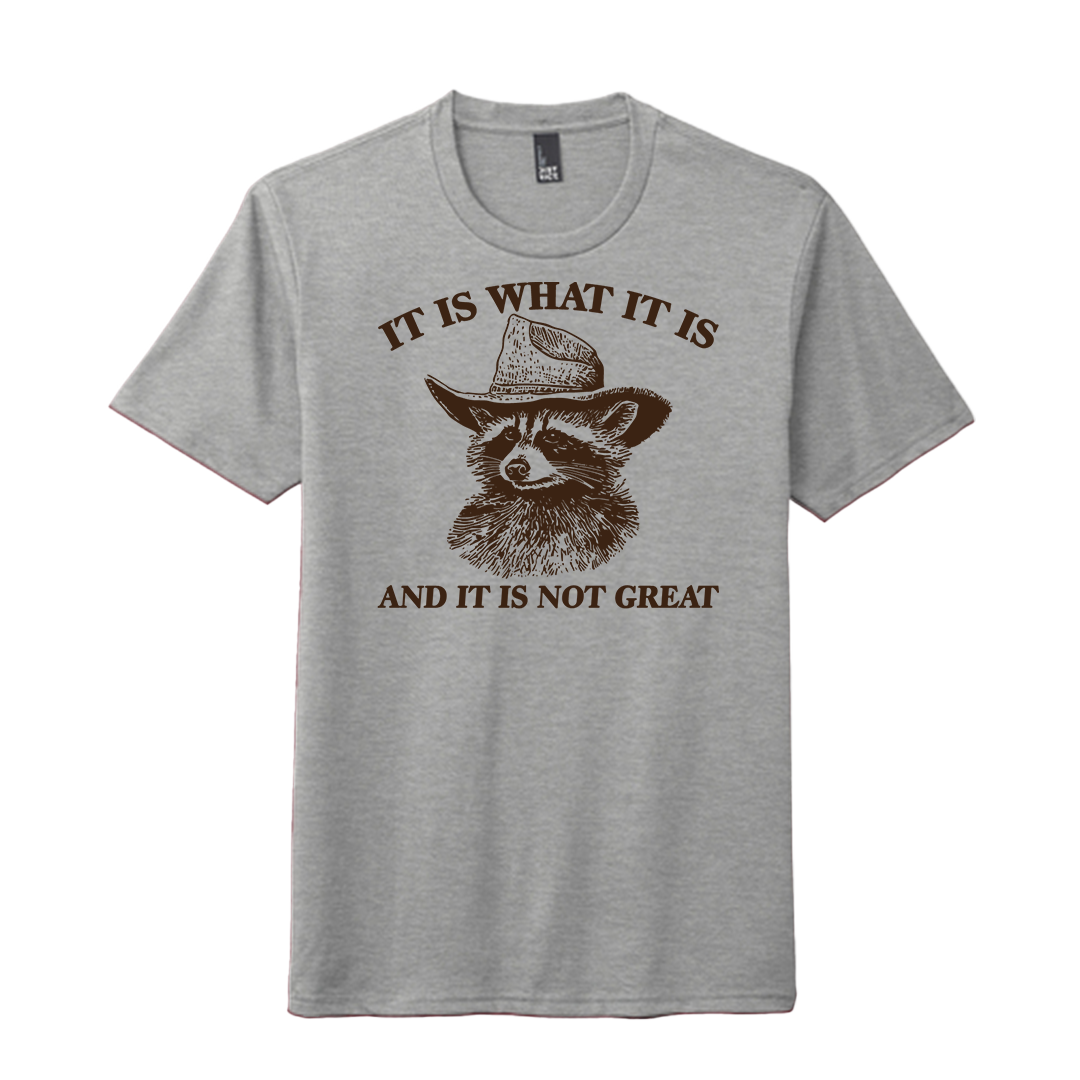 “It Is What It Is” Raccoon Tee