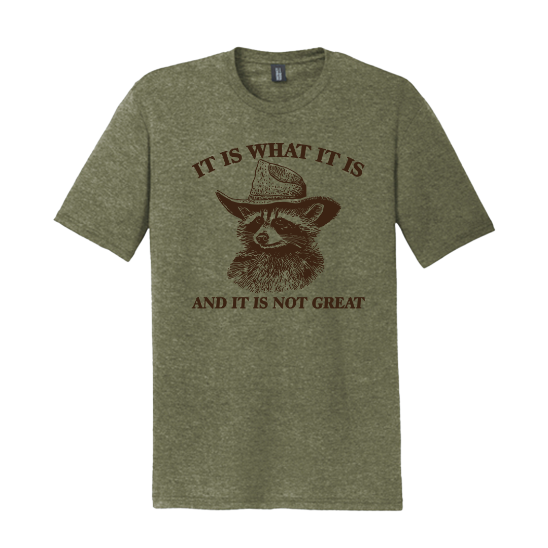 “It Is What It Is” Raccoon Tee