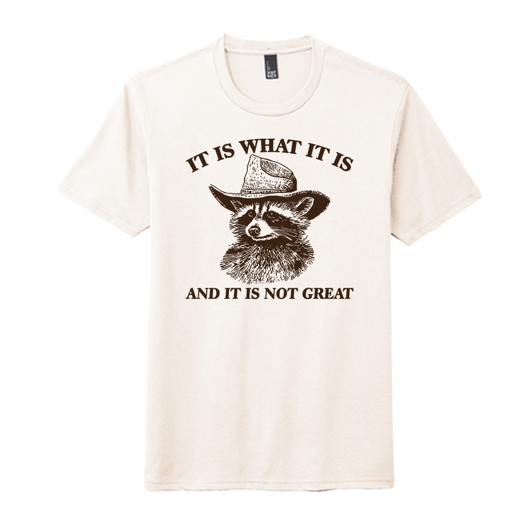“It Is What It Is” Raccoon Tee