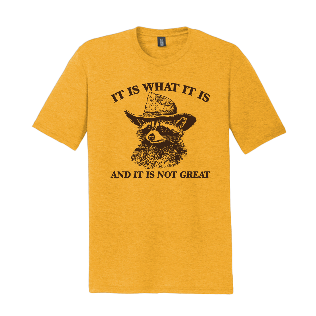 “It Is What It Is” Raccoon Tee