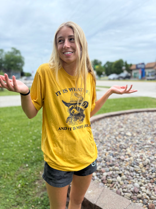 “It Is What It Is” Raccoon Tee